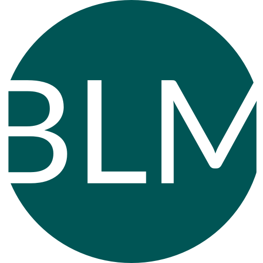 BotLearnMax logo – AI education